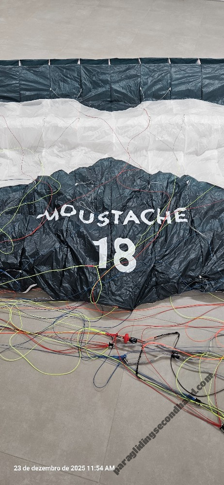 Flare Moustache, 18, 2025, (50-120kg), 2h