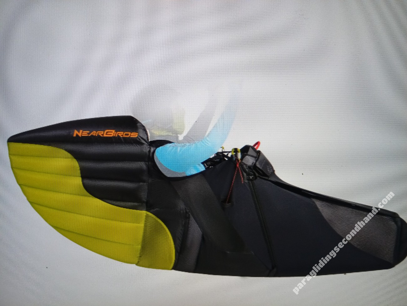 Near Birds Zippy 3, M, 2025