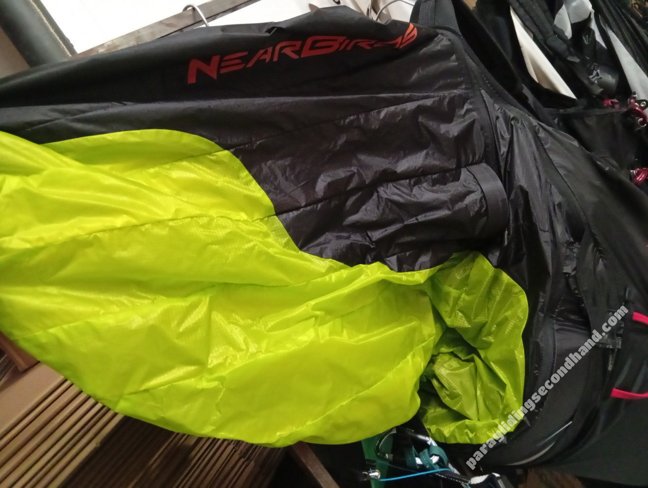 Near Birds Zippy 3, M, 2025