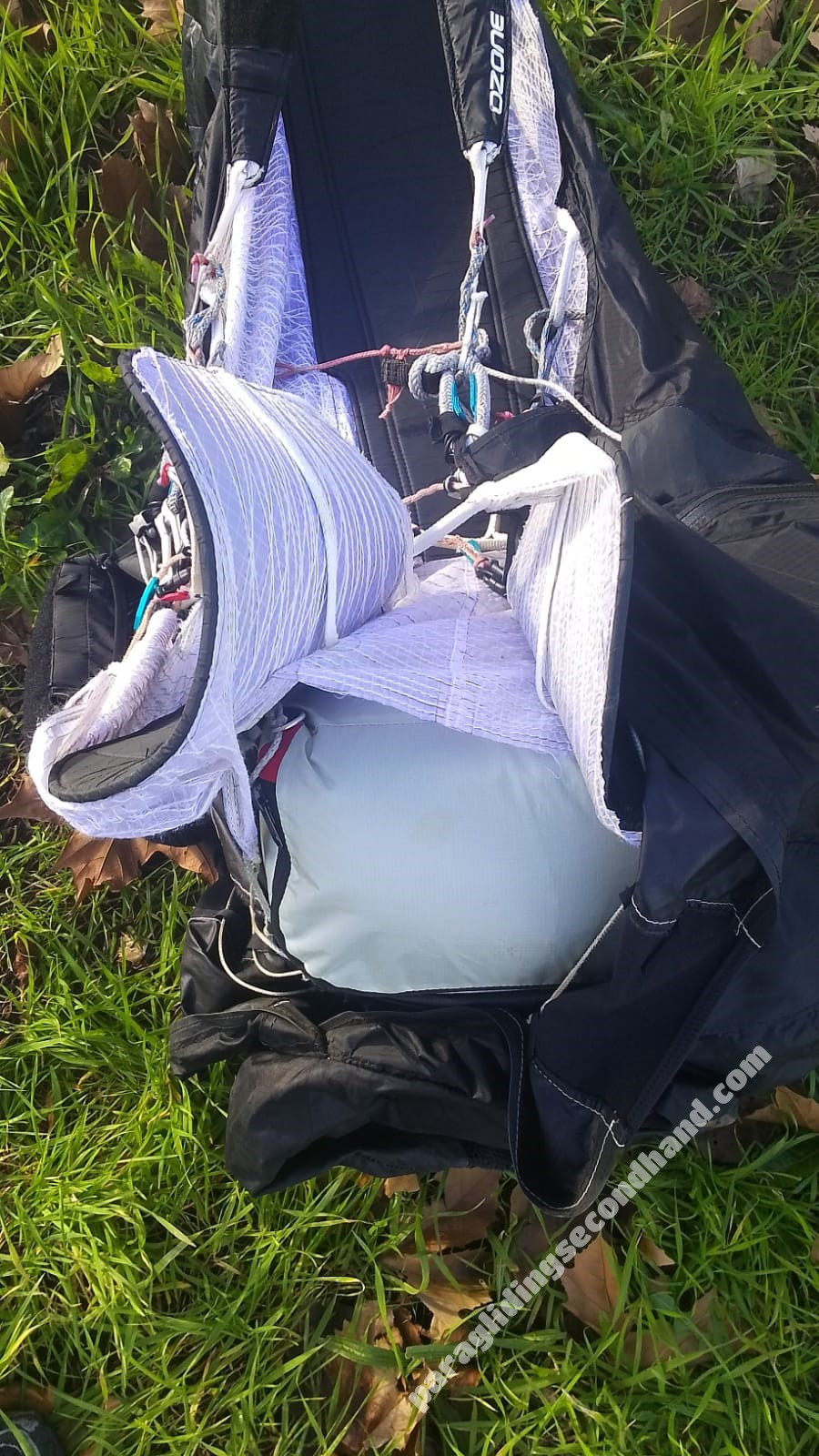 Ozone F*Race, M, 2021