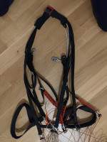 Nova Sector, XS, 2018, (70-90kg), 236h