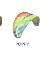BGD Dual 2, 42, 2025, (120-220kg), 30h