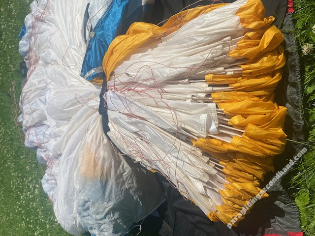 Ozone Delta 4, L, 2020, (95-115kg), 170h