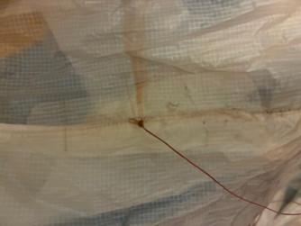 Ozone Delta 4, L, 2020, (95-115kg), 170h