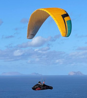 Niviuk ARTIK R, XL, 2024, (110-125kg), 15h