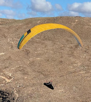 Niviuk ARTIK R, XL, 2024, (110-125kg), 15h