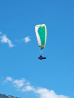 Nova ION 6, XS, 2021, (70-90kg), 105h