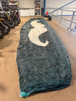 Flare Moustache, 18, 2024, (55-120kg), 30h