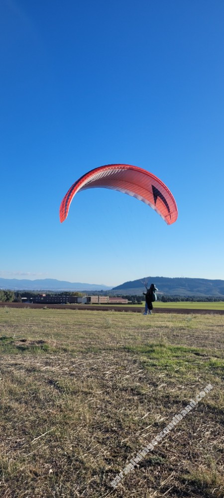 Swing Arcus 2 RS, M, 2022, (85-105kg), 60h