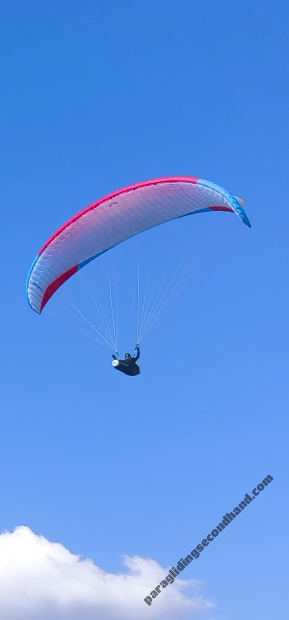 Advance Epsilon DLS, 26, 2024, (79-103kg), 45h