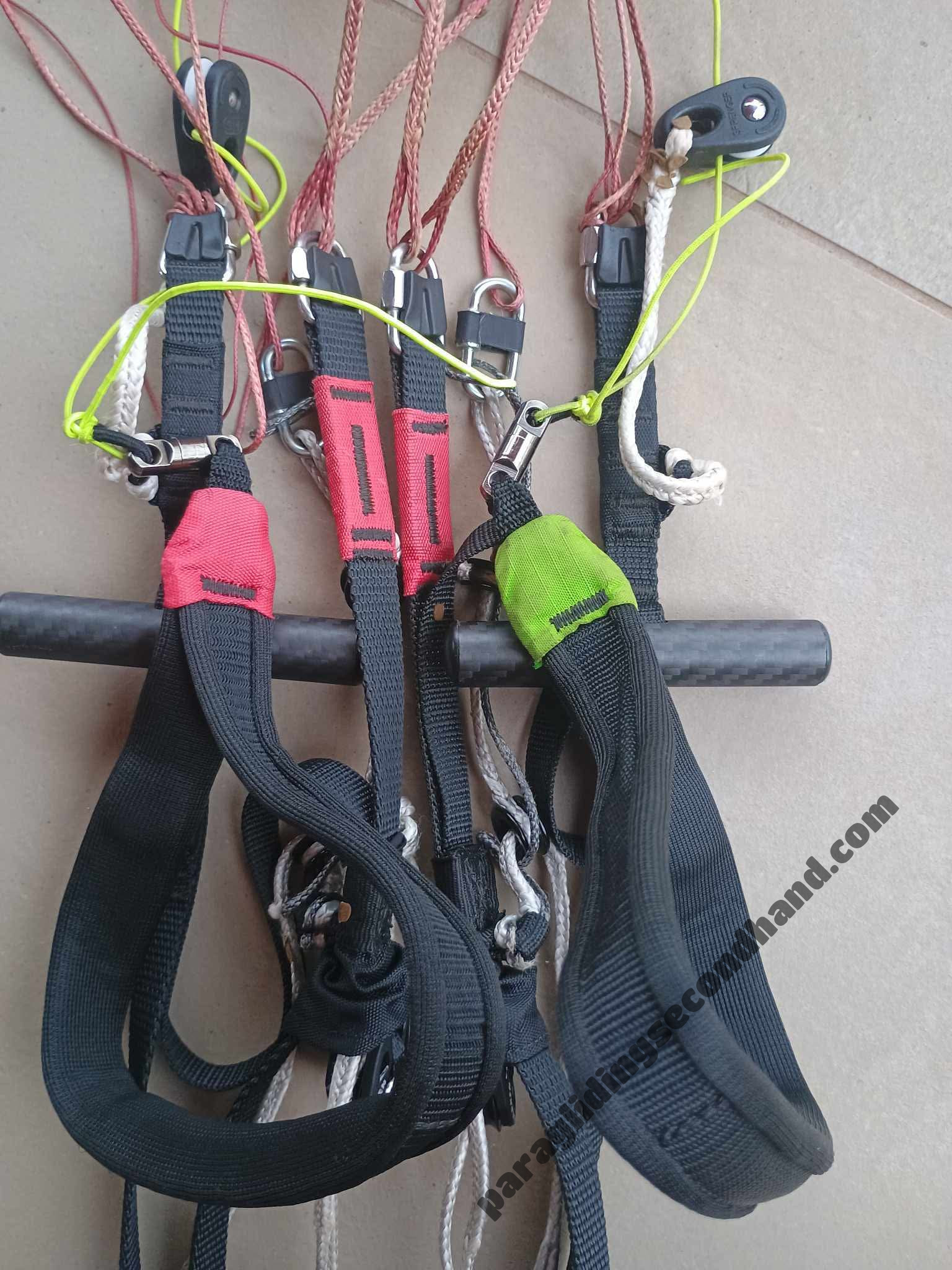 BGD Diva 2, M, 2024, (80-100kg), 35h