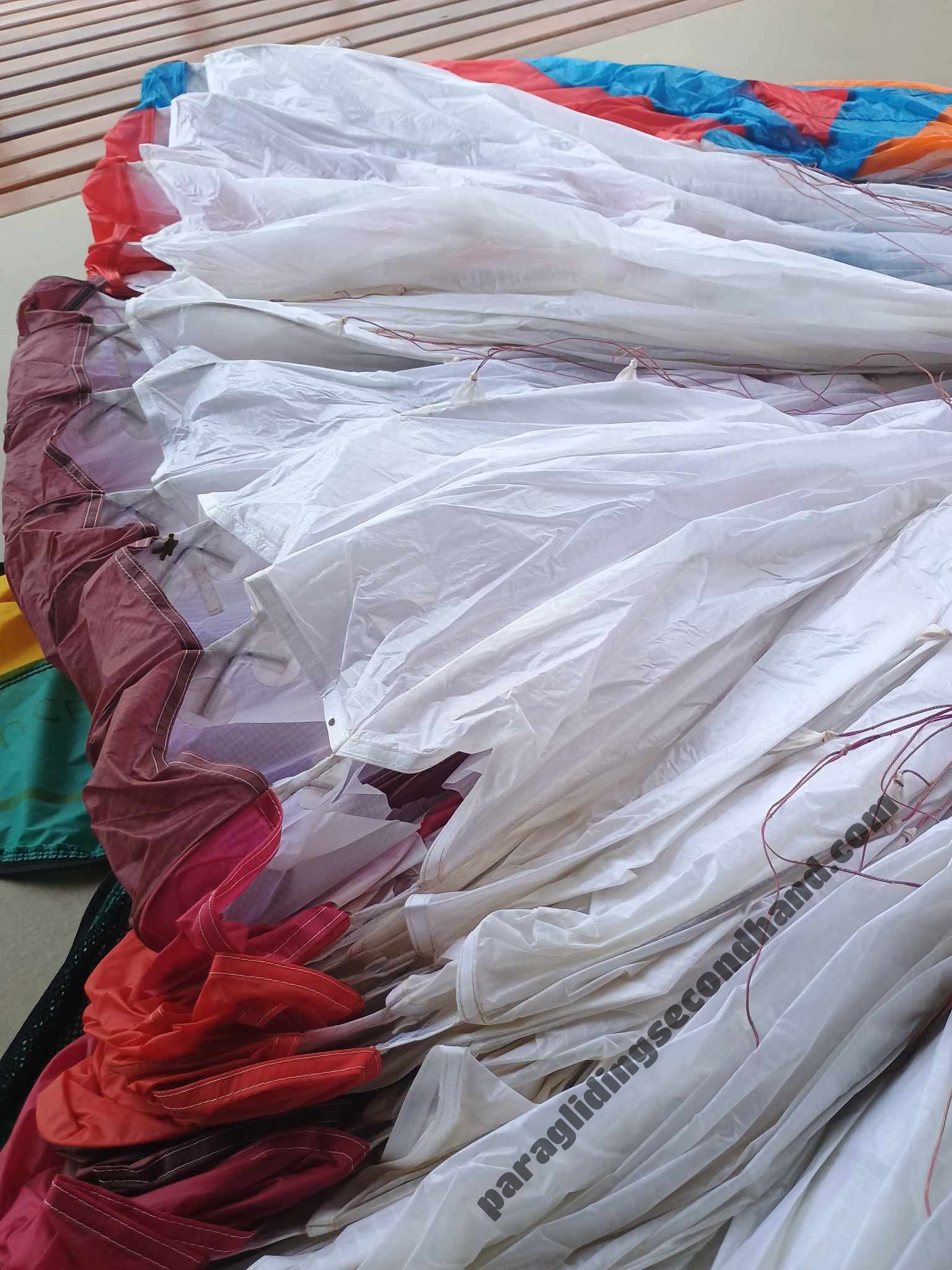 BGD Diva 2, M, 2024, (80-100kg), 35h