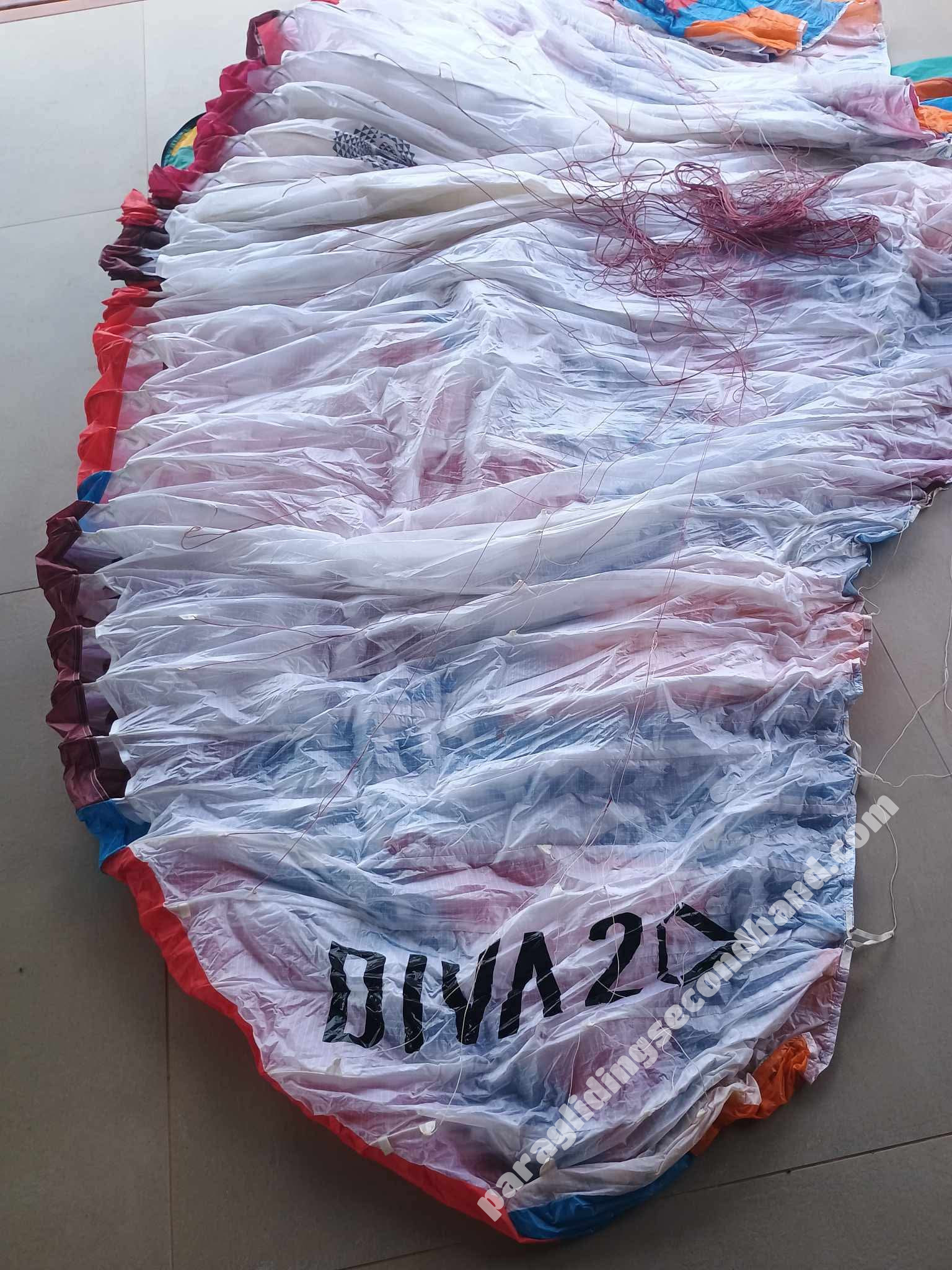 BGD Diva 2, M, 2024, (80-100kg), 35h