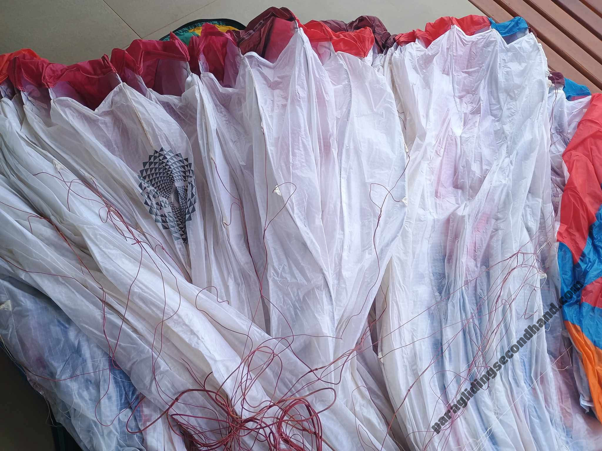 BGD Diva 2, M, 2024, (80-100kg), 35h