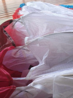 BGD Diva 2, M, 2024, (80-100kg), 35h