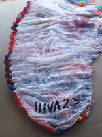 BGD Diva 2, M, 2024, (80-100kg), 35h