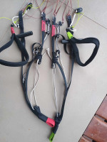 BGD Diva 2, M, 2024, (80-100kg), 35h