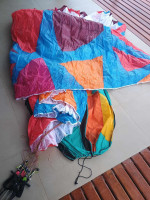 BGD Diva 2, M, 2024, (80-100kg), 35h