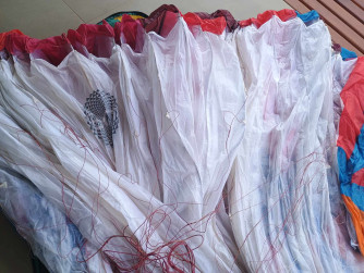 BGD Diva 2, M, 2024, (80-100kg), 35h