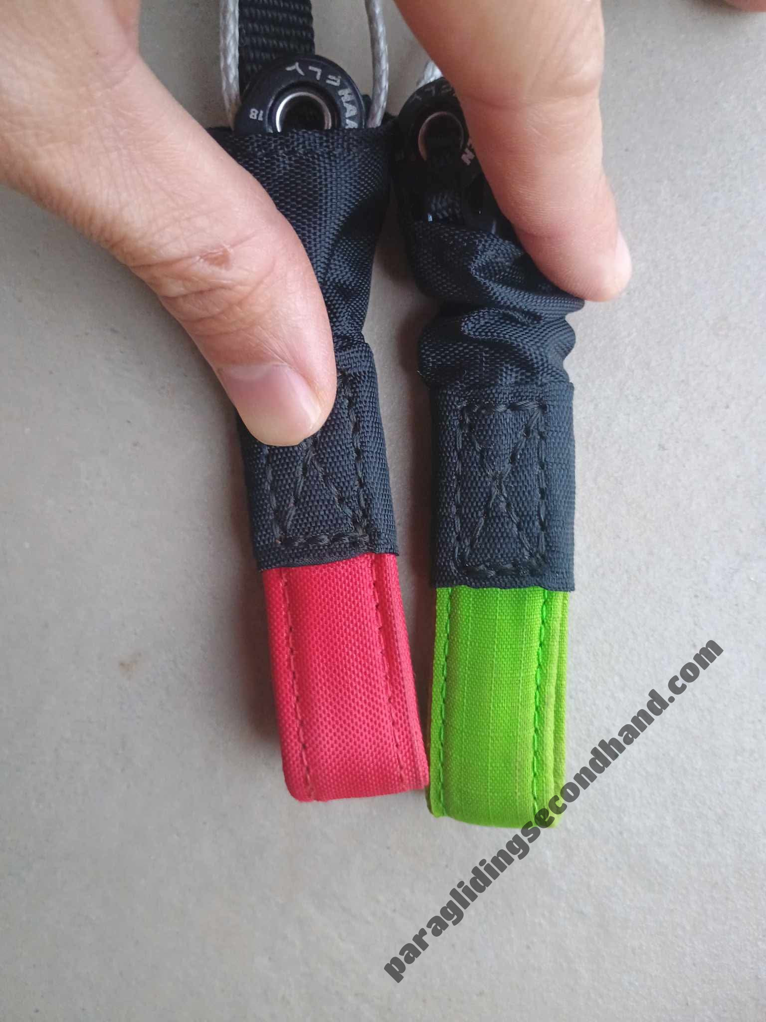 BGD Diva 2, M, 2024, (80-100kg), 35h