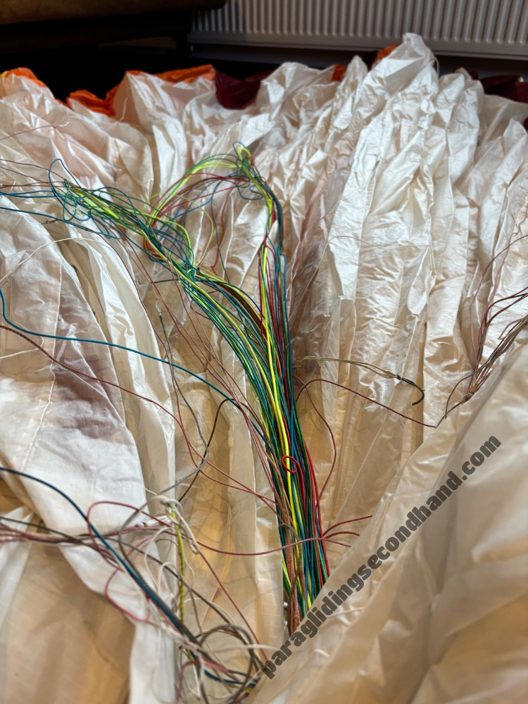 BGD Punk, M, 2020, (75-100kg), 150h