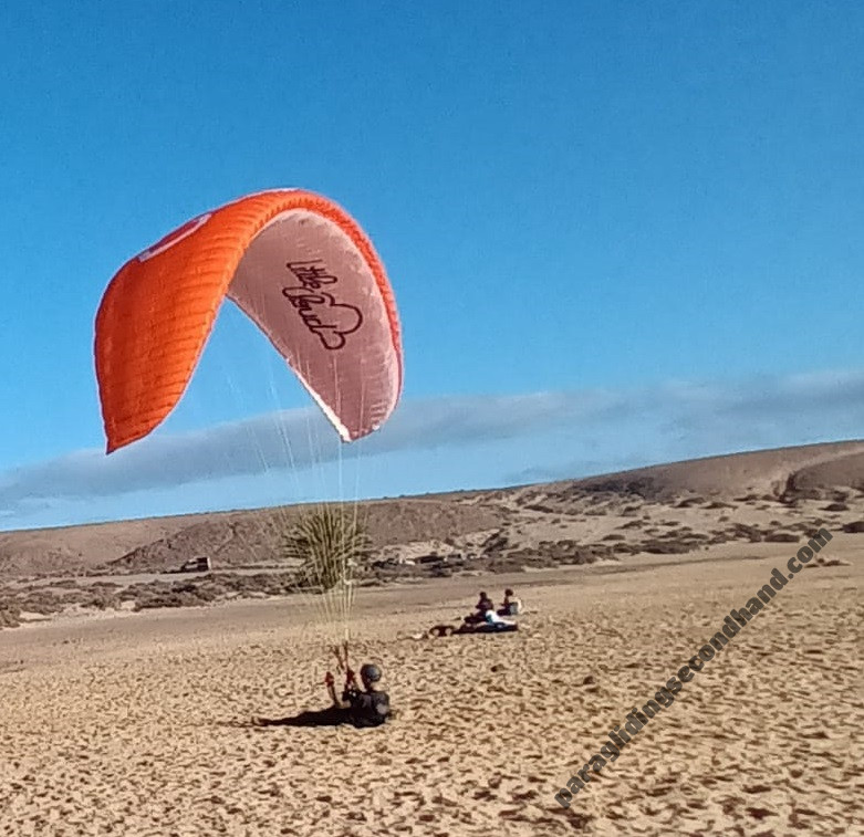 Little Cloud Supergoose, 16, 2018, (60-110kg), 160h