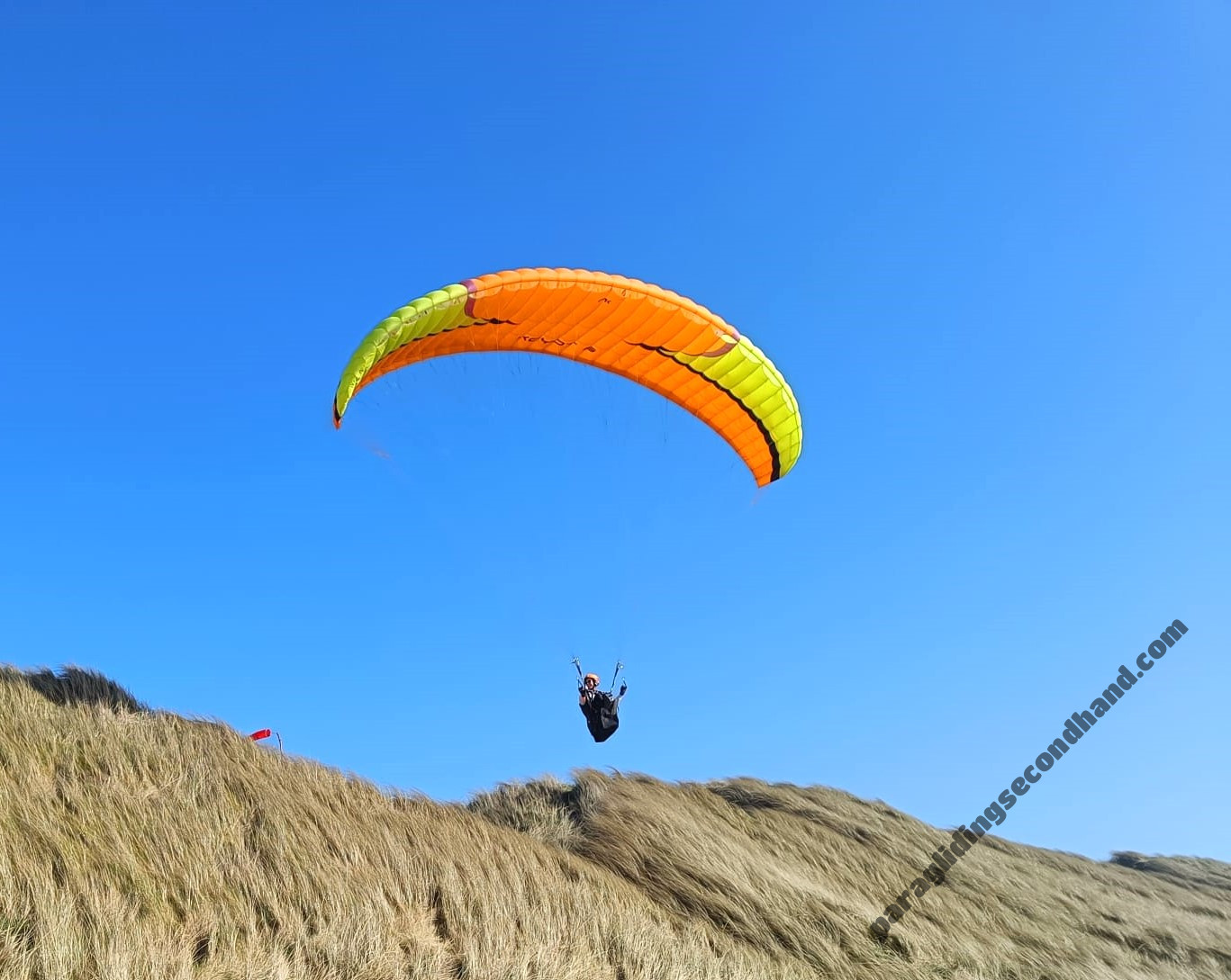 Niviuk Koyot 5, 24, 2018, (60-80kg), 25h