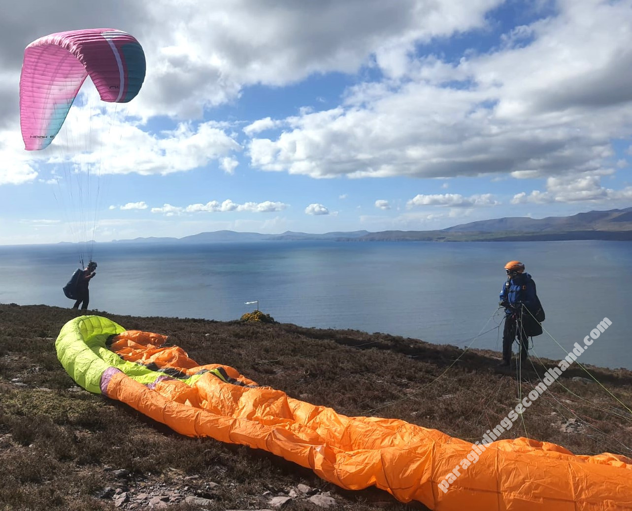 Niviuk Koyot 5, 24, 2018, (60-80kg), 25h