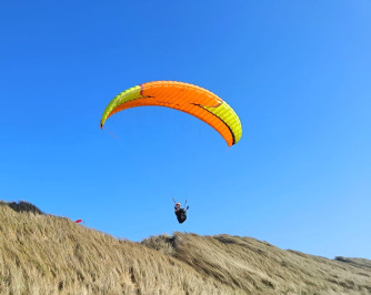 Niviuk Koyot 5, 24, 2018, (60-80kg), 25h