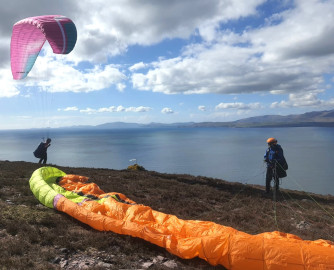 Niviuk Koyot 5, 24, 2018, (60-80kg), 25h