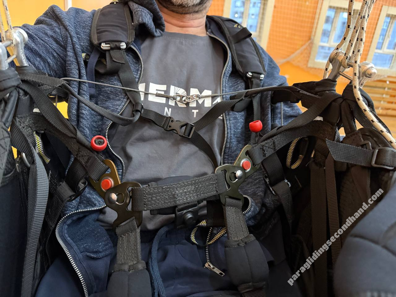 Near Birds Genessis Race, L, 2023