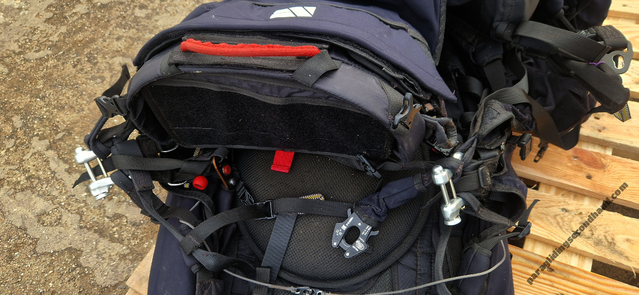 Near Birds Genessis Race, L, 2023