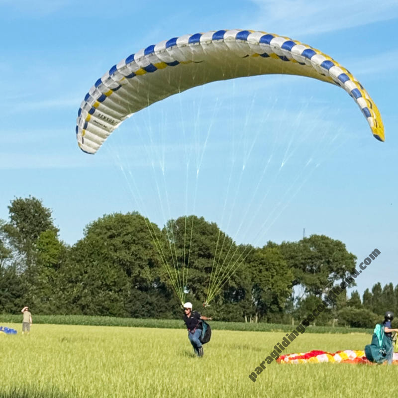 Sol Sensus, Large, 2025, (95-110kg), 5h