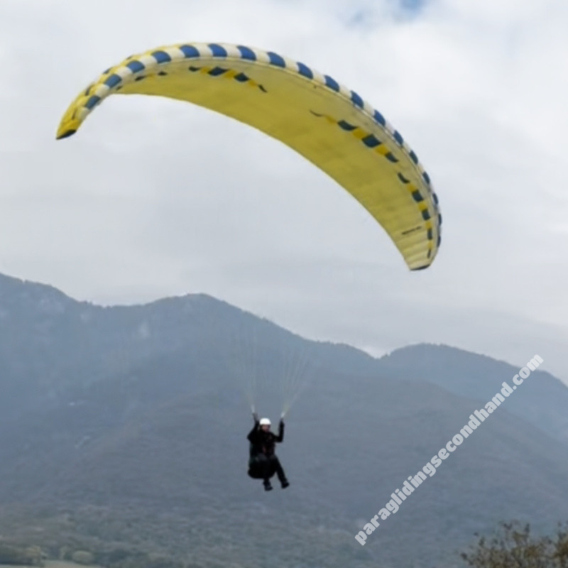 Sol Sensus, Large, 2025, (95-110kg), 5h