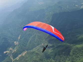 Davinci Gliders Tango, S, L, 2024, (70-120kg), 0h