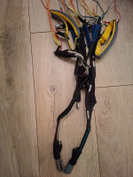 Advance Sigma 11, 24, 2022, (80-100kg), 17h