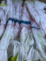 Air Design Susi 3, 16, 2019, (50-89kg), 100h