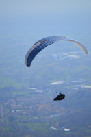 Advance impress 4 taglia L