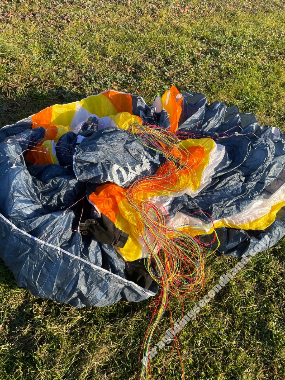 Paraglider Viril Wings Raptor, 16, 2025, (55-125kg), 5h