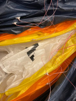 Paraglider Viril Wings Raptor, 16, 2025, (55-125kg), 5h