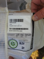 Skywalk Arak, L, 2021, (100-120kg), 170h