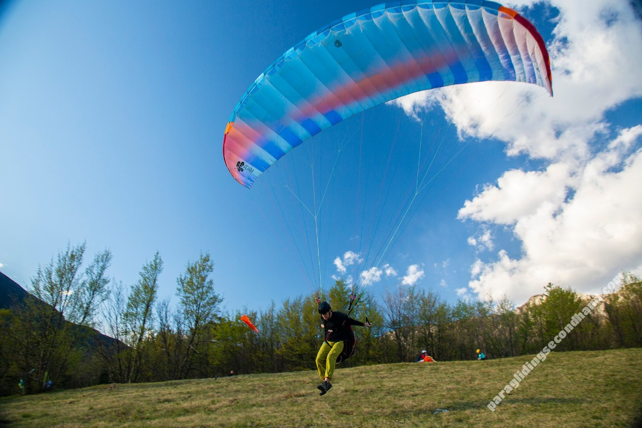 BGD Adam, MS, 2019, (70-95kg), 100h