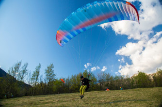 BGD Adam, MS, 2019, (70-95kg), 100h