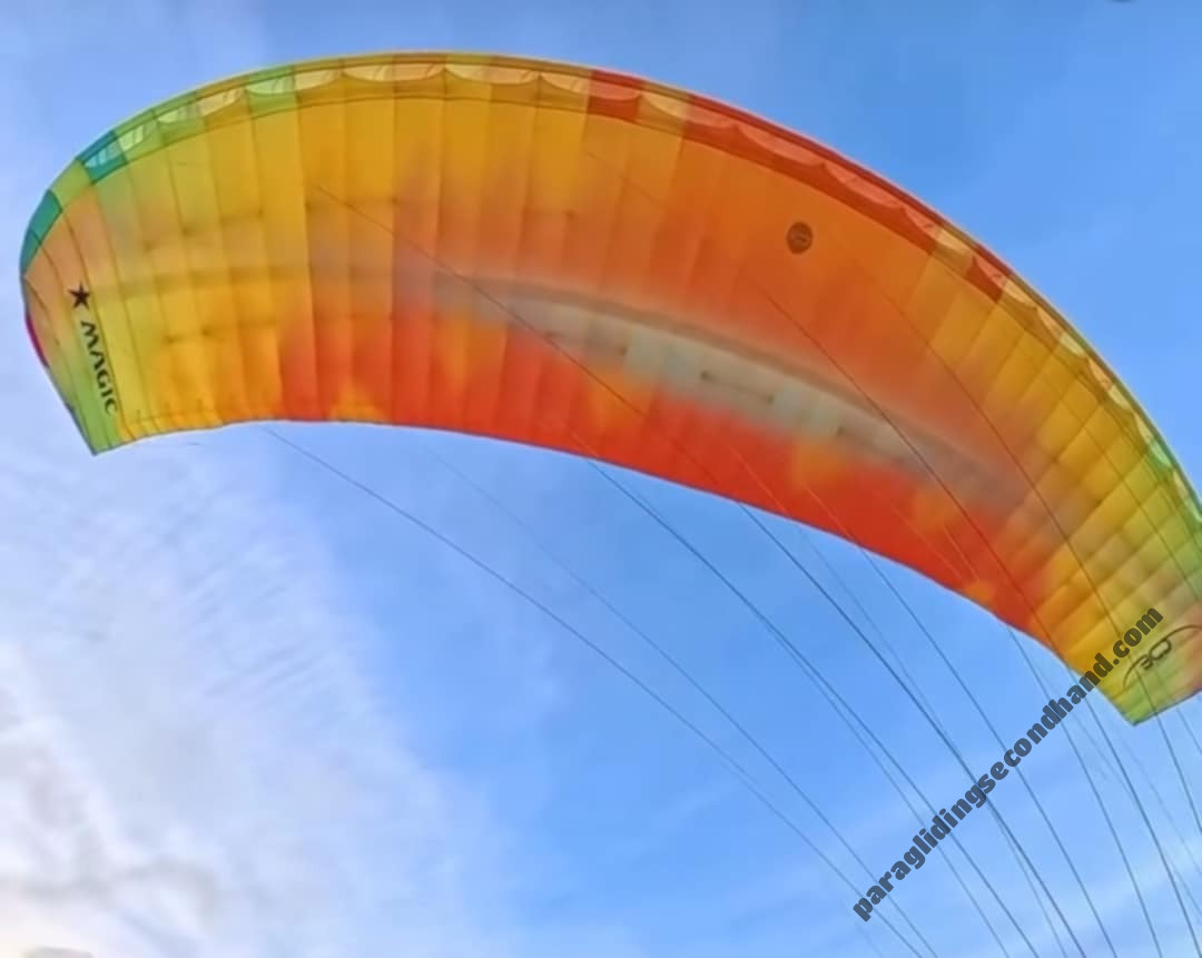 BGD Magic, M, 2023, (75-120kg), 2h