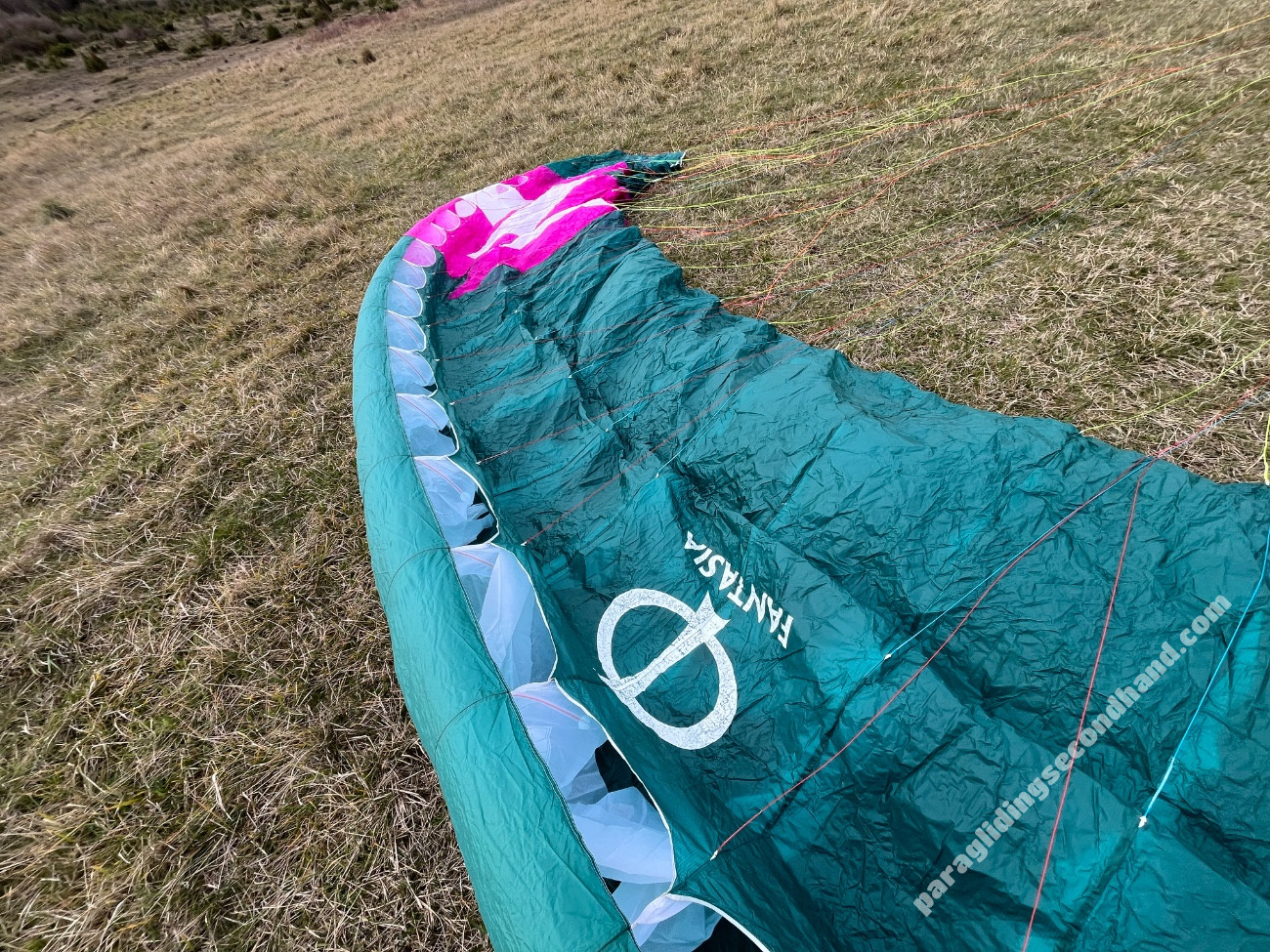 Phi Fantasia, 22, 2021, (75-95kg), 30h