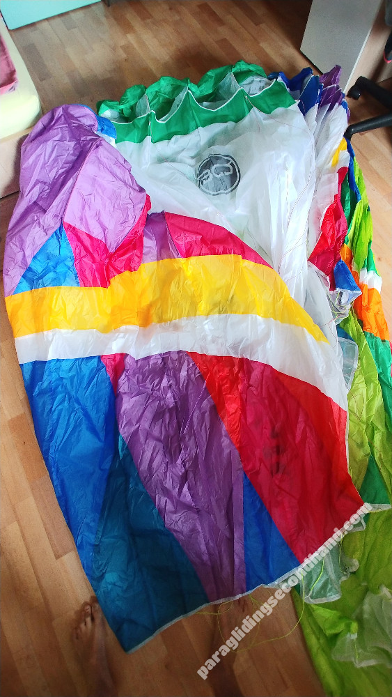 BGD Magic, XS, 2022, (50-70kg), 64h