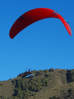 Ozone Photon, Ml, 2023, (90-105kg), 73h