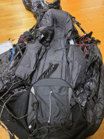 Woody Valley Race, L, 2024