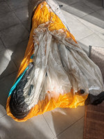 Niviuk Artik 6, 26, 2021, (85-105kg), 250h