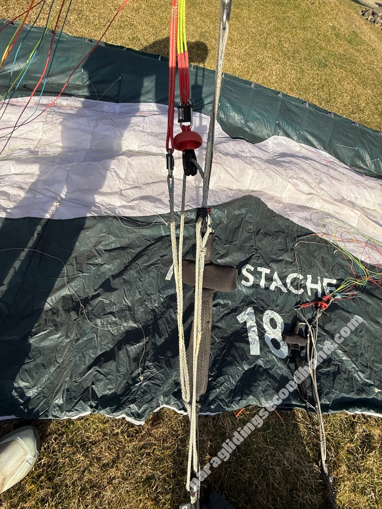 Flare Moustache, 18, 2024, (0-120kg), 36h